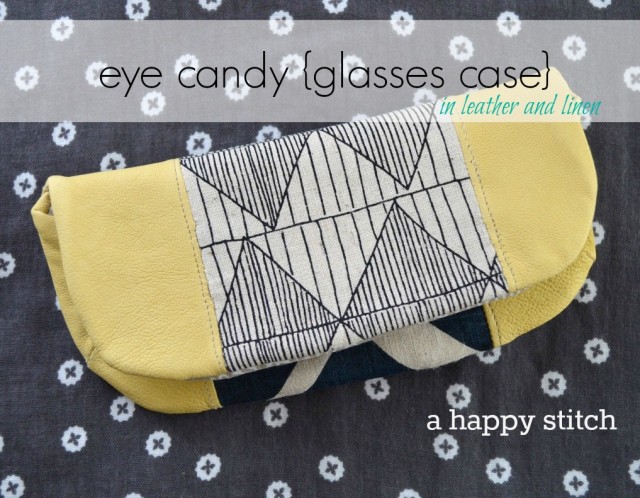 eye candy glasses case intro photo