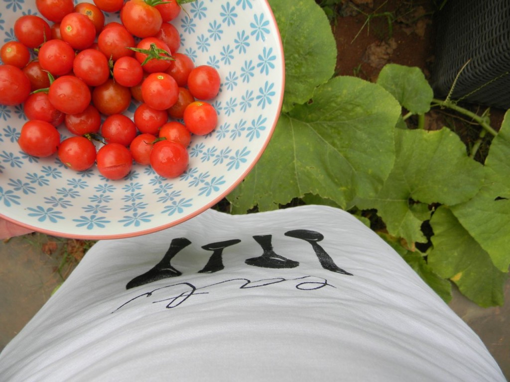 so pretty-the apron meets tomatoes